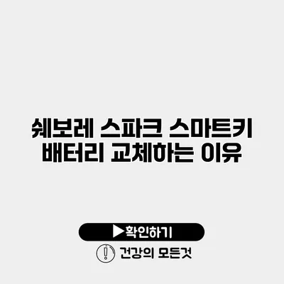쉐보레 스파크 스마트키 배터리 교체하는 이유