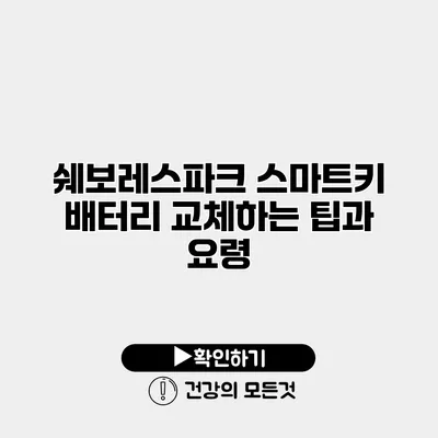 쉐보레스파크 스마트키 배터리 교체하는 팁과 요령
