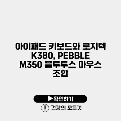 아이패드 키보드와 로지텍 K380, PEBBLE M350 블루투스 마우스 조합