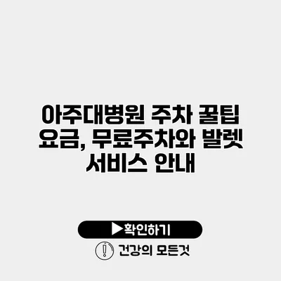 아주대병원 주차 꿀팁 요금, 무료주차와 발렛 서비스 안내
