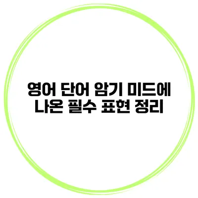 영어 단어 암기 미드에 나온 필수 표현 정리