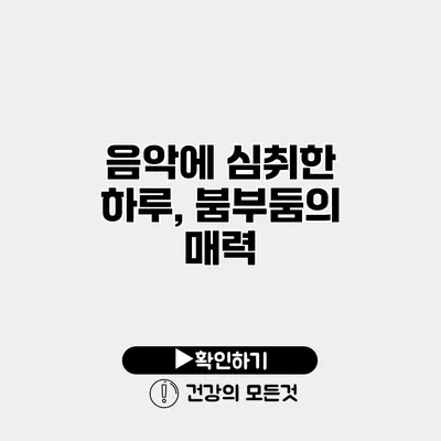 음악에 심취한 하루, 붐부둠의 매력
