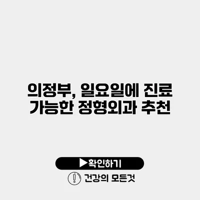 의정부, 일요일에 진료 가능한 정형외과 추천