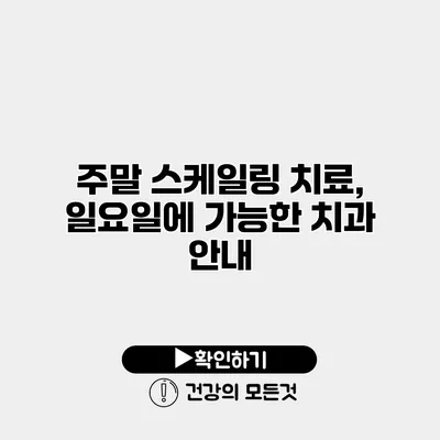 주말 스케일링 치료, 일요일에 가능한 치과 안내