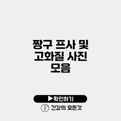 짱구 프사 및 고화질 사진 모음