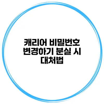 캐리어 비밀번호 변경하기 분실 시 대처법