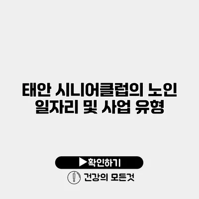 태안 시니어클럽의 노인 일자리 및 사업 유형