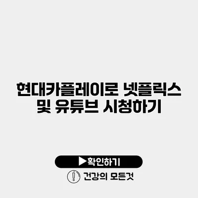 현대카플레이로 넷플릭스 및 유튜브 시청하기