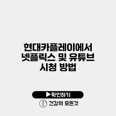 현대카플레이에서 넷플릭스 및 유튜브 시청 방법