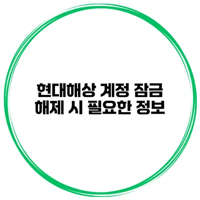 현대해상 계정 잠금 해제 시 필요한 정보